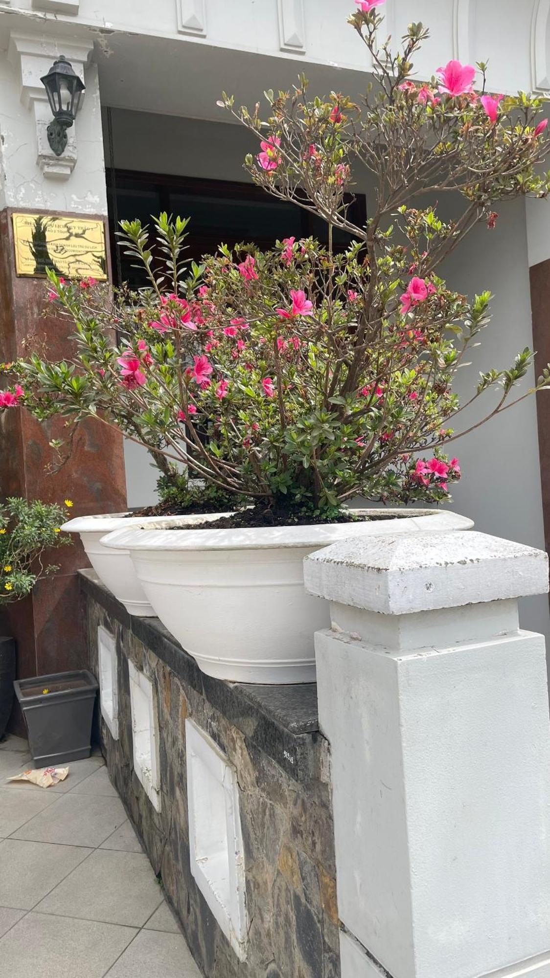 Duy Thao 2 Hotel Da Lat Zewnętrze zdjęcie