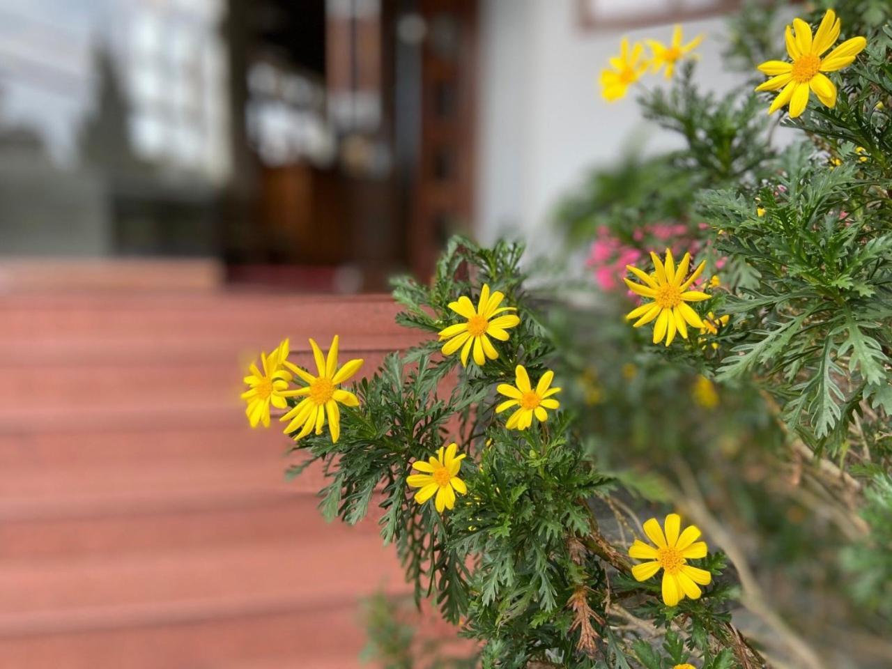 Duy Thao 2 Hotel Da Lat Zewnętrze zdjęcie